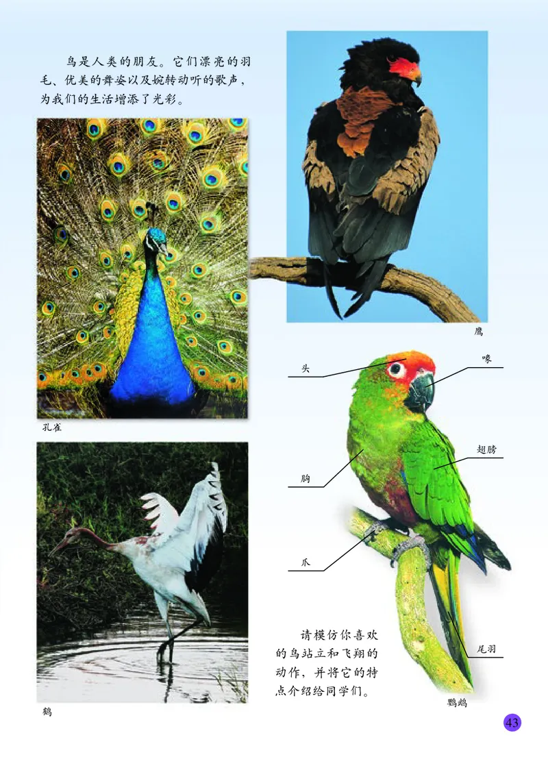小学二年级下册美术_教资初高中_教资面试2025教资面试备考资料合集_教资面试资料合集_3、教资面试资料包大全_45大圣中小幼面试资料包_小学_美术_电子课本_小学美术-常锐伦