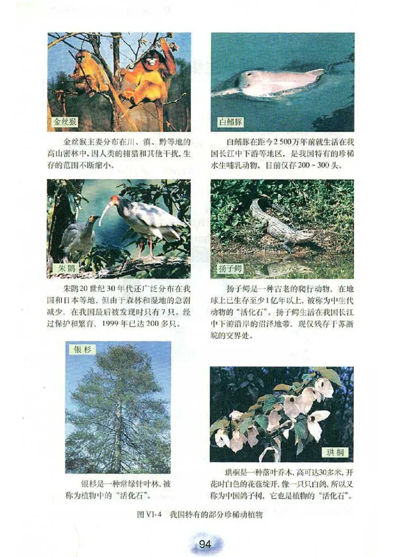 初中_生物_8_1(1)_教资初高中_教资面试2025教资面试备考资料合集_教资面试资料合集_2025教资面试资料_25上教资面试-小学资料包_20教材：全册_初中_初中生物