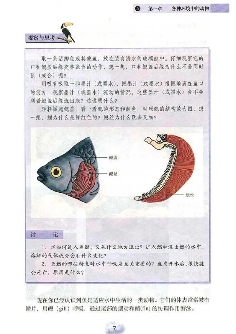 初中_生物_8_1(1)_教资初高中_教资面试2025教资面试备考资料合集_教资面试资料合集_2025教资面试资料_25上教资面试-小学资料包_20教材：全册_初中_初中生物