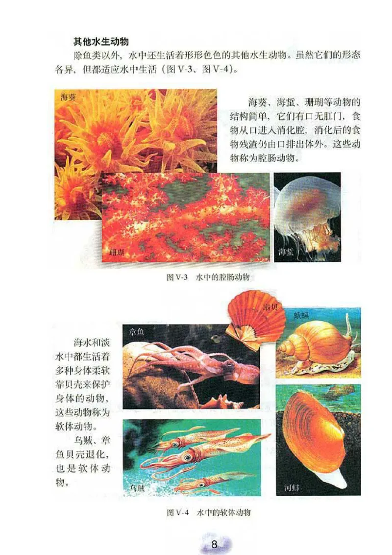 初中_生物_8_1(1)_教资初高中_教资面试2025教资面试备考资料合集_教资面试资料合集_2025教资面试资料_25上教资面试-小学资料包_20教材：全册_初中_初中生物