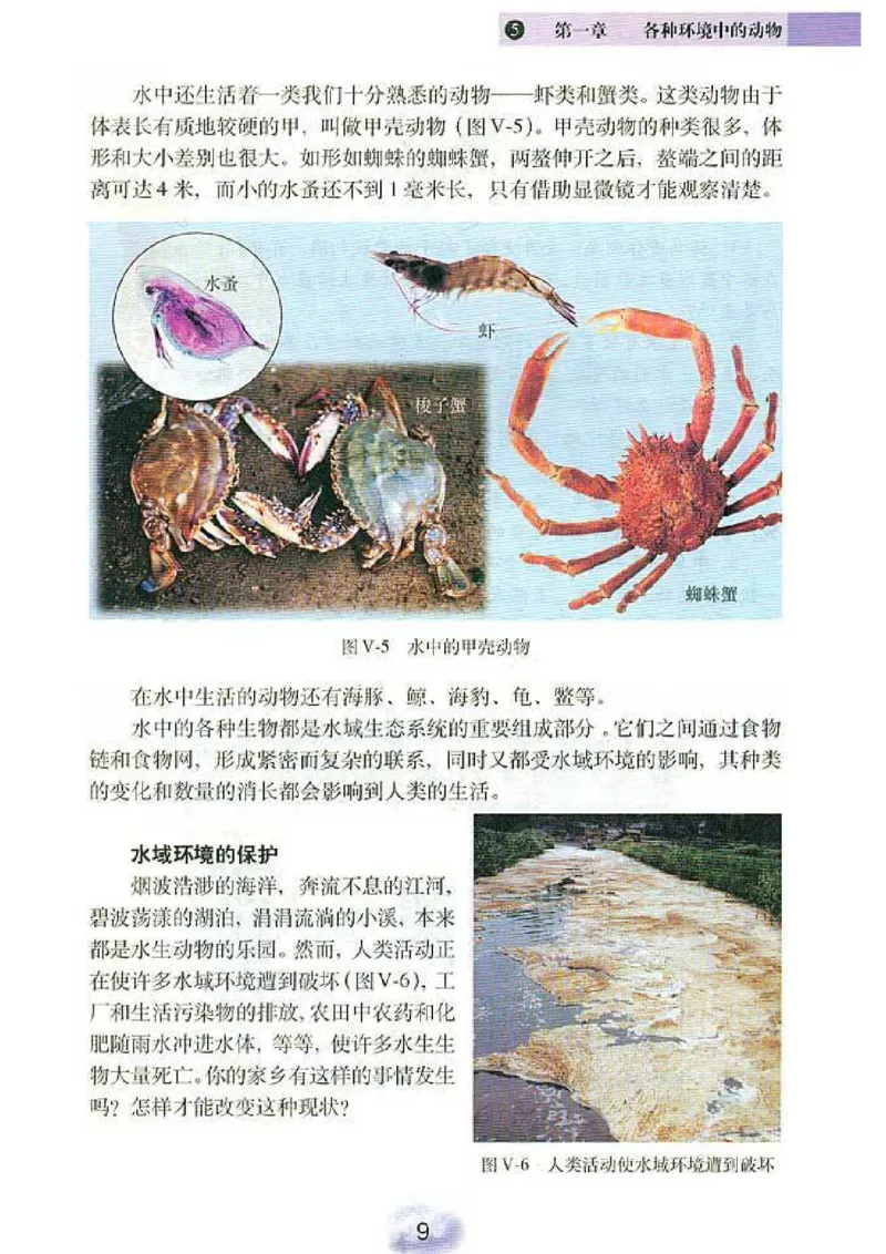 初中_生物_8_1(1)_教资初高中_教资面试2025教资面试备考资料合集_教资面试资料合集_2025教资面试资料_25上教资面试-小学资料包_20教材：全册_初中_初中生物