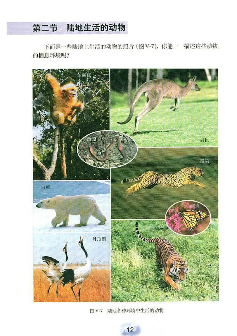 初中_生物_8_1(1)_教资初高中_教资面试2025教资面试备考资料合集_教资面试资料合集_2025教资面试资料_25上教资面试-小学资料包_20教材：全册_初中_初中生物