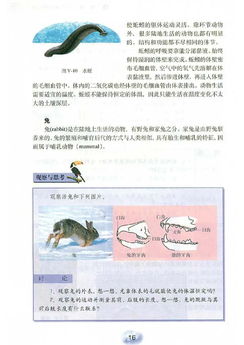 初中_生物_8_1(1)_教资初高中_教资面试2025教资面试备考资料合集_教资面试资料合集_2025教资面试资料_25上教资面试-小学资料包_20教材：全册_初中_初中生物