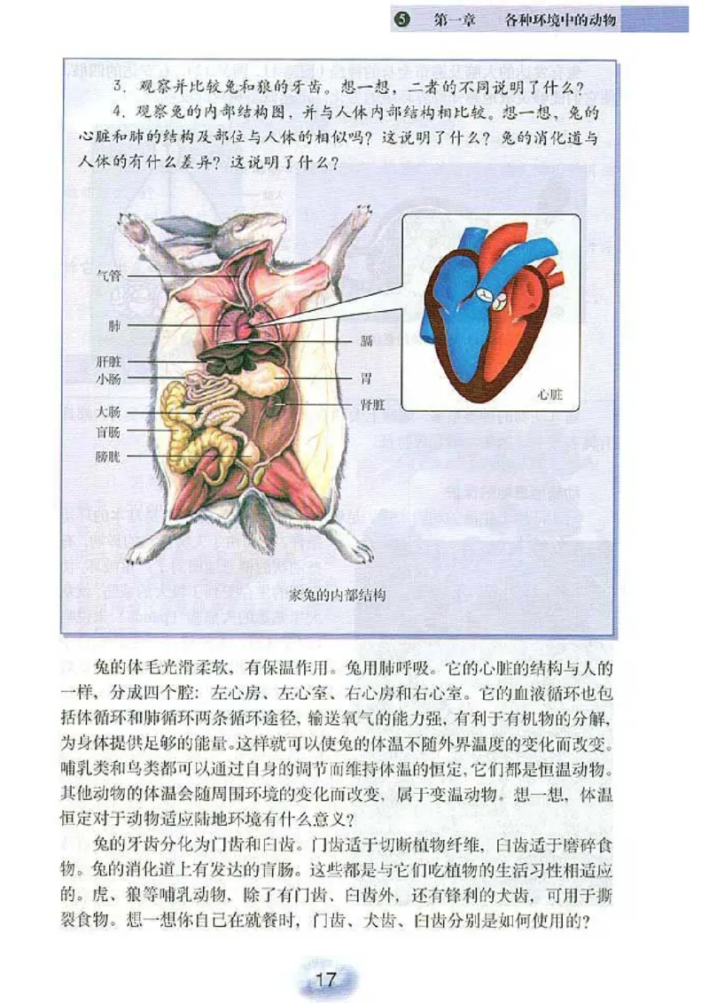 初中_生物_8_1(1)_教资初高中_教资面试2025教资面试备考资料合集_教资面试资料合集_2025教资面试资料_25上教资面试-小学资料包_20教材：全册_初中_初中生物