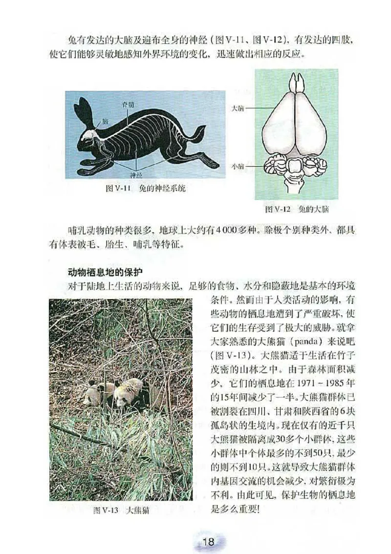 初中_生物_8_1(1)_教资初高中_教资面试2025教资面试备考资料合集_教资面试资料合集_2025教资面试资料_25上教资面试-小学资料包_20教材：全册_初中_初中生物