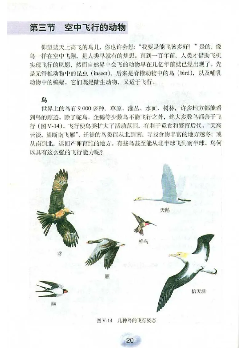 初中_生物_8_1(1)_教资初高中_教资面试2025教资面试备考资料合集_教资面试资料合集_2025教资面试资料_25上教资面试-小学资料包_20教材：全册_初中_初中生物