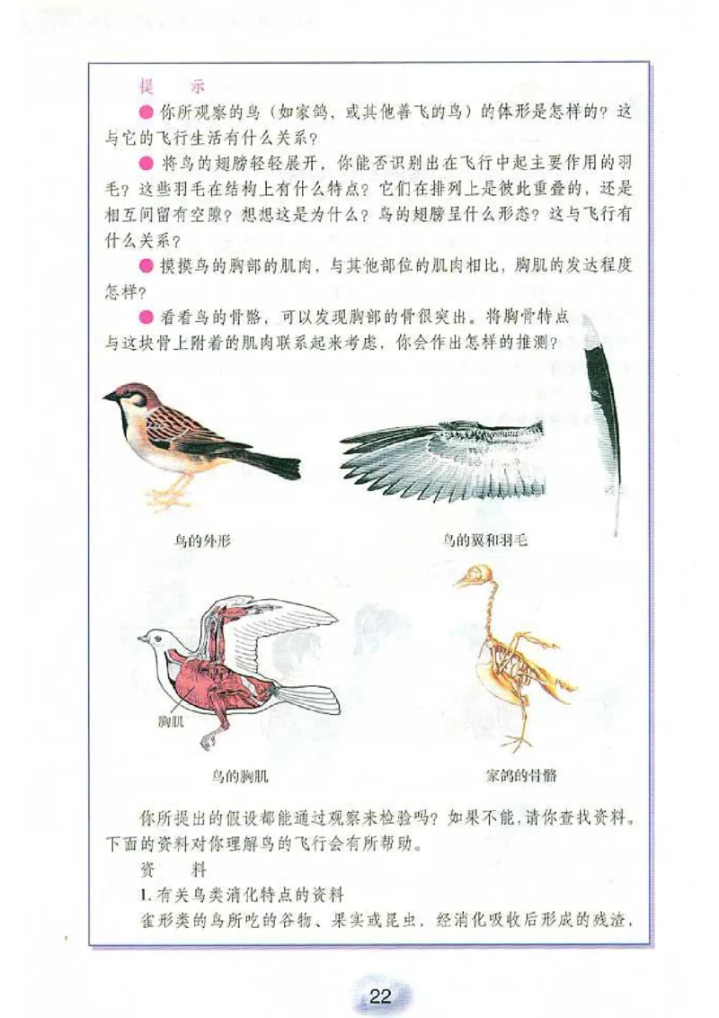 初中_生物_8_1(1)_教资初高中_教资面试2025教资面试备考资料合集_教资面试资料合集_2025教资面试资料_25上教资面试-小学资料包_20教材：全册_初中_初中生物