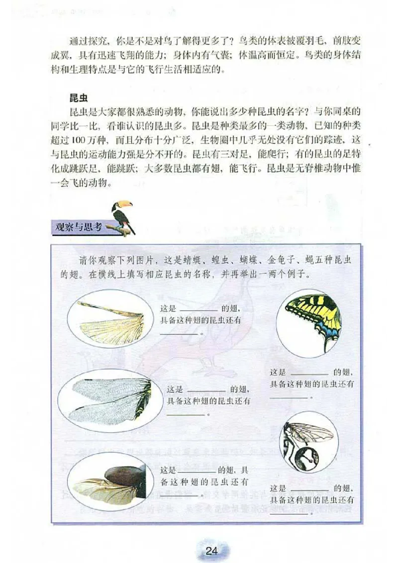 初中_生物_8_1(1)_教资初高中_教资面试2025教资面试备考资料合集_教资面试资料合集_2025教资面试资料_25上教资面试-小学资料包_20教材：全册_初中_初中生物