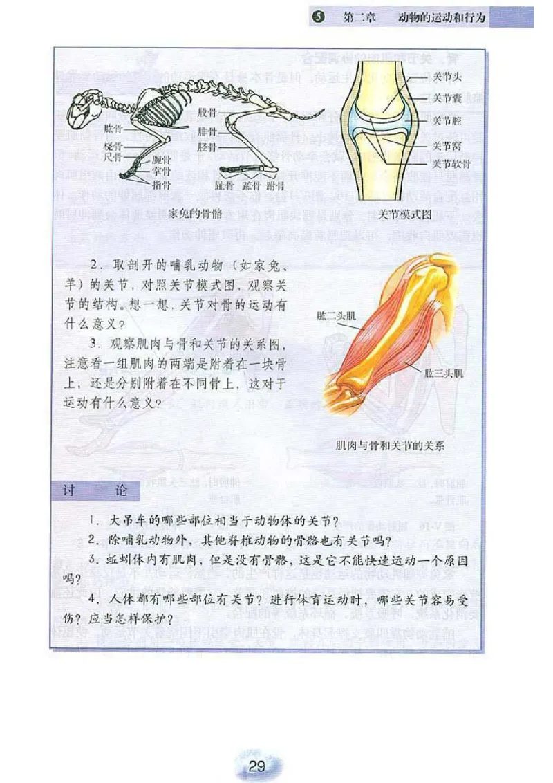 初中_生物_8_1(1)_教资初高中_教资面试2025教资面试备考资料合集_教资面试资料合集_2025教资面试资料_25上教资面试-小学资料包_20教材：全册_初中_初中生物