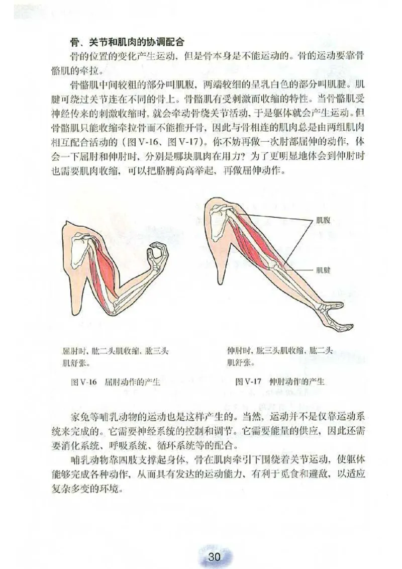 初中_生物_8_1(1)_教资初高中_教资面试2025教资面试备考资料合集_教资面试资料合集_2025教资面试资料_25上教资面试-小学资料包_20教材：全册_初中_初中生物