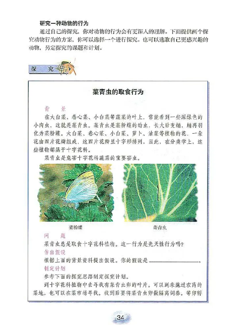 初中_生物_8_1(1)_教资初高中_教资面试2025教资面试备考资料合集_教资面试资料合集_2025教资面试资料_25上教资面试-小学资料包_20教材：全册_初中_初中生物