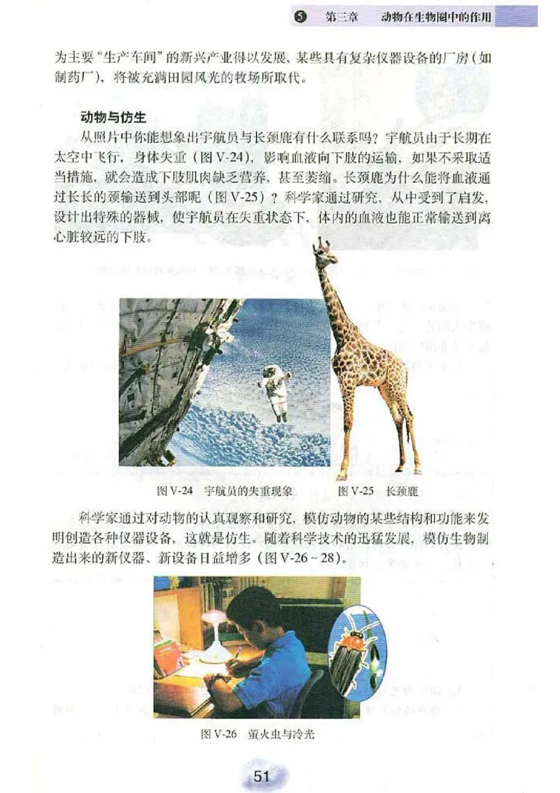 初中_生物_8_1(1)_教资初高中_教资面试2025教资面试备考资料合集_教资面试资料合集_2025教资面试资料_25上教资面试-小学资料包_20教材：全册_初中_初中生物