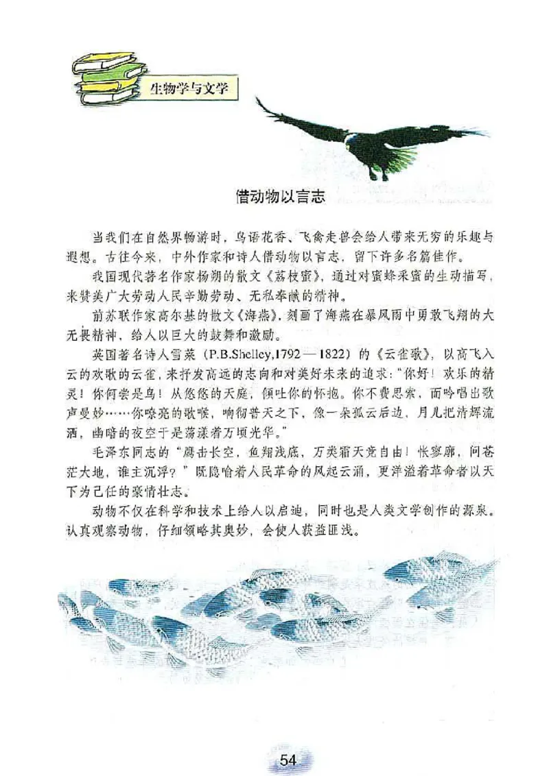 初中_生物_8_1(1)_教资初高中_教资面试2025教资面试备考资料合集_教资面试资料合集_2025教资面试资料_25上教资面试-小学资料包_20教材：全册_初中_初中生物