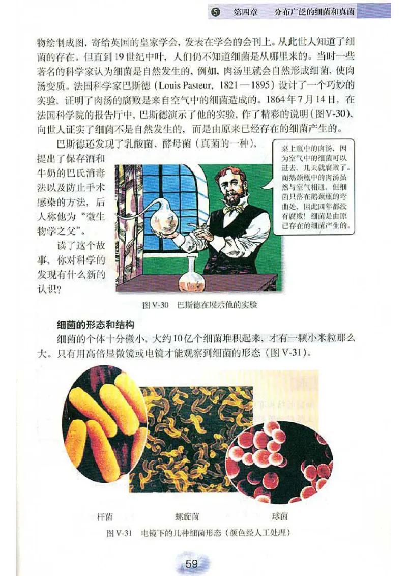 初中_生物_8_1(1)_教资初高中_教资面试2025教资面试备考资料合集_教资面试资料合集_2025教资面试资料_25上教资面试-小学资料包_20教材：全册_初中_初中生物