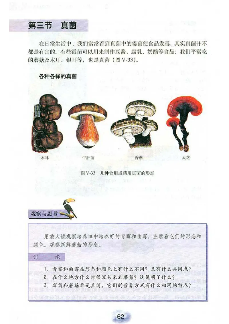 初中_生物_8_1(1)_教资初高中_教资面试2025教资面试备考资料合集_教资面试资料合集_2025教资面试资料_25上教资面试-小学资料包_20教材：全册_初中_初中生物