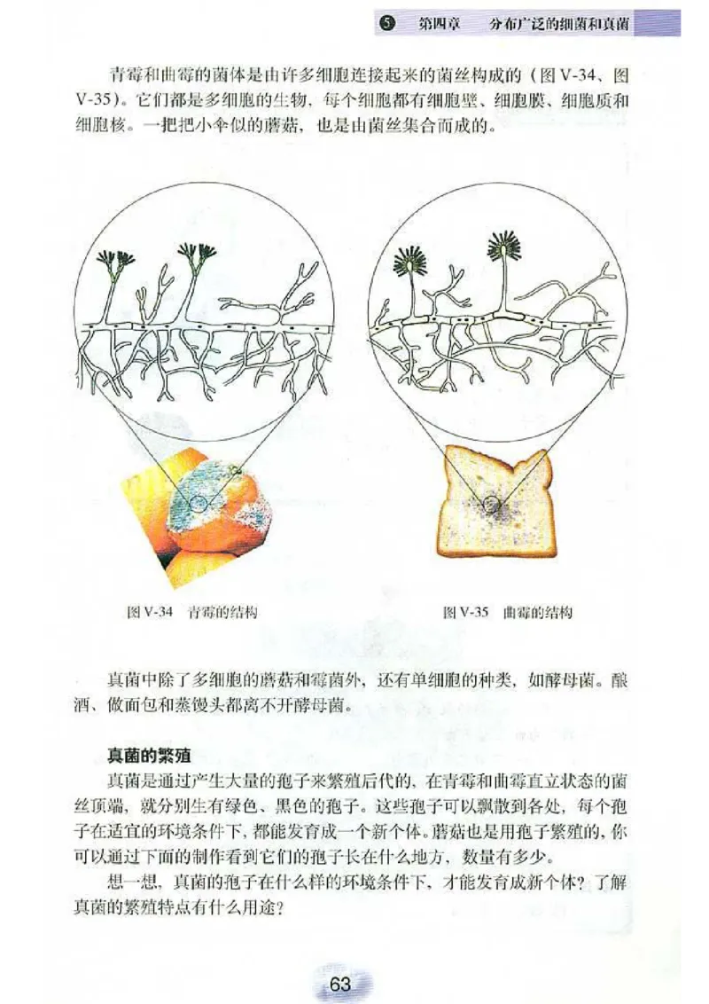 初中_生物_8_1(1)_教资初高中_教资面试2025教资面试备考资料合集_教资面试资料合集_2025教资面试资料_25上教资面试-小学资料包_20教材：全册_初中_初中生物