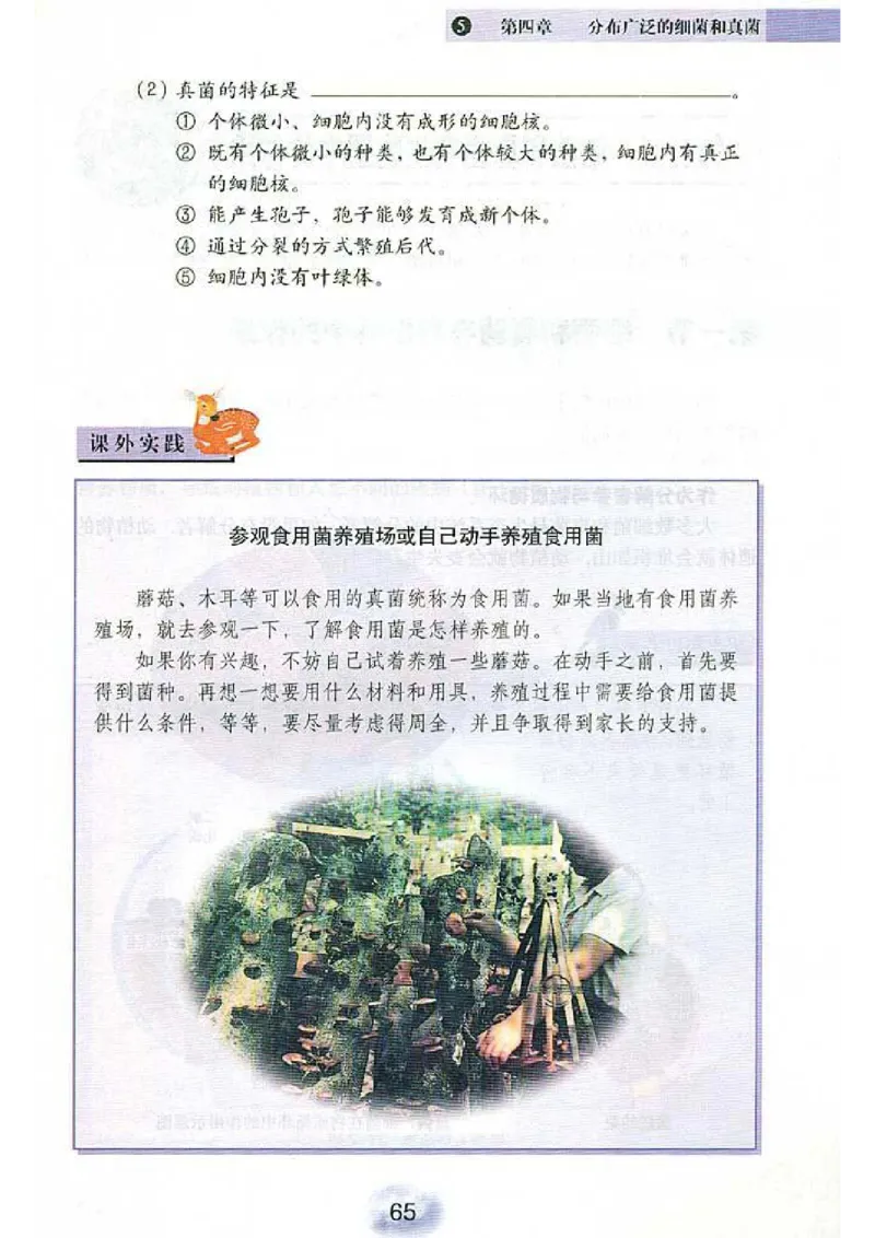 初中_生物_8_1(1)_教资初高中_教资面试2025教资面试备考资料合集_教资面试资料合集_2025教资面试资料_25上教资面试-小学资料包_20教材：全册_初中_初中生物