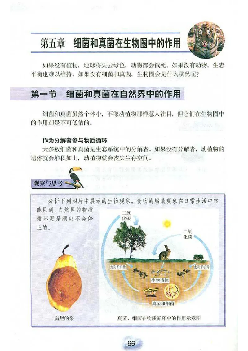 初中_生物_8_1(1)_教资初高中_教资面试2025教资面试备考资料合集_教资面试资料合集_2025教资面试资料_25上教资面试-小学资料包_20教材：全册_初中_初中生物