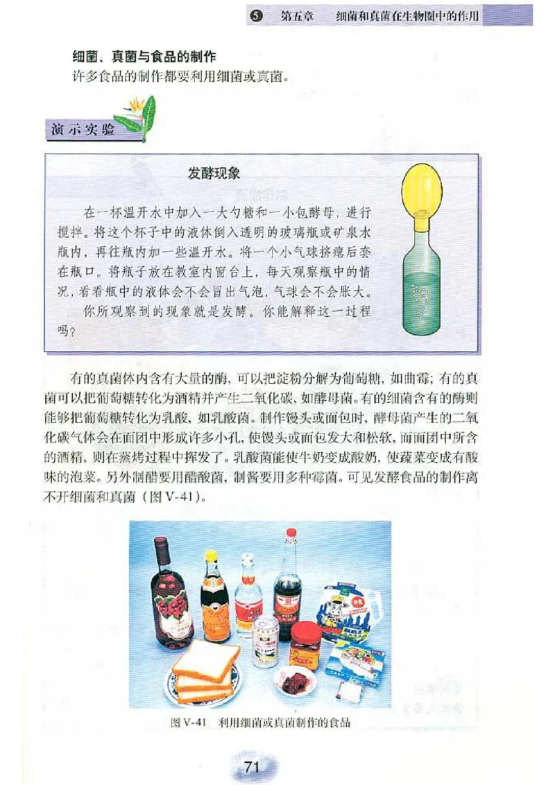 初中_生物_8_1(1)_教资初高中_教资面试2025教资面试备考资料合集_教资面试资料合集_2025教资面试资料_25上教资面试-小学资料包_20教材：全册_初中_初中生物