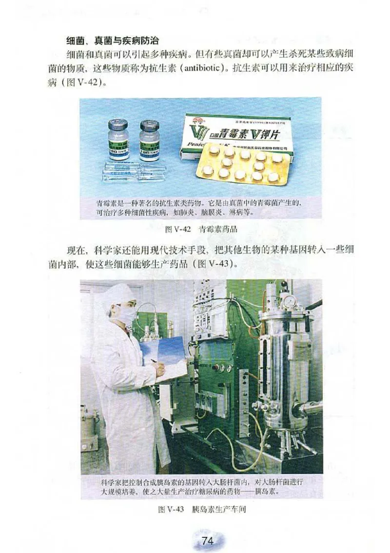 初中_生物_8_1(1)_教资初高中_教资面试2025教资面试备考资料合集_教资面试资料合集_2025教资面试资料_25上教资面试-小学资料包_20教材：全册_初中_初中生物