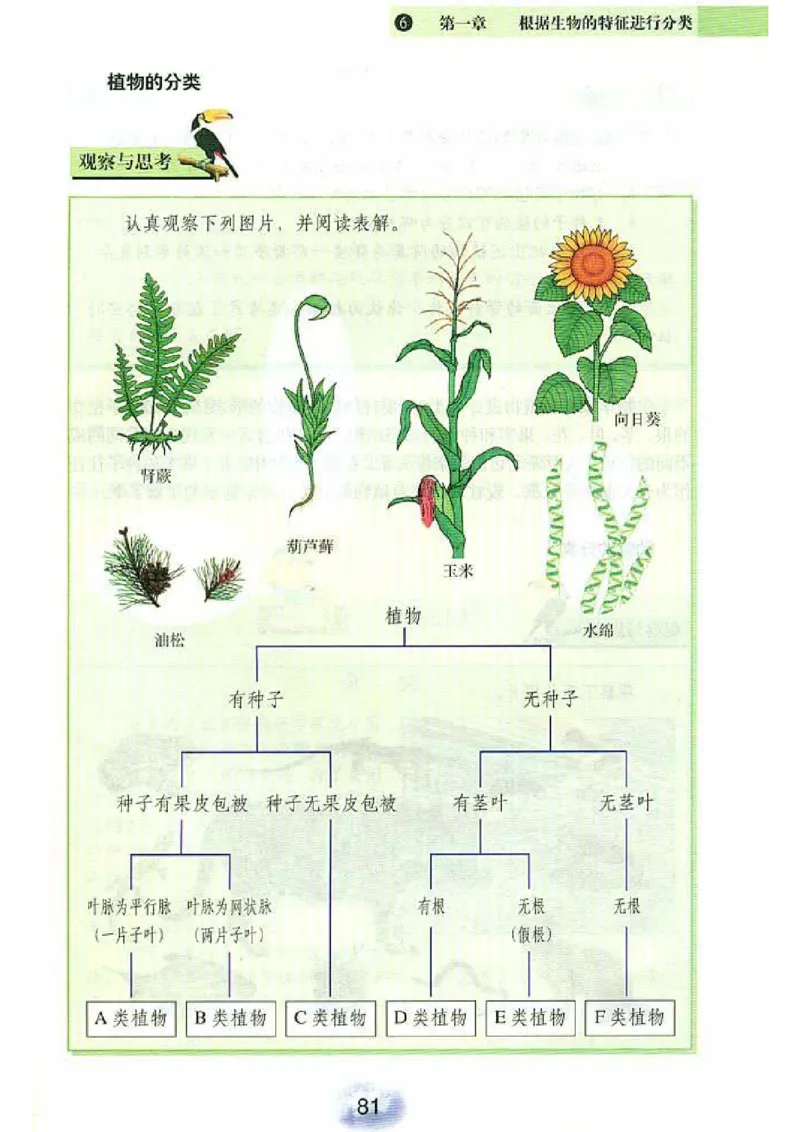 初中_生物_8_1(1)_教资初高中_教资面试2025教资面试备考资料合集_教资面试资料合集_2025教资面试资料_25上教资面试-小学资料包_20教材：全册_初中_初中生物