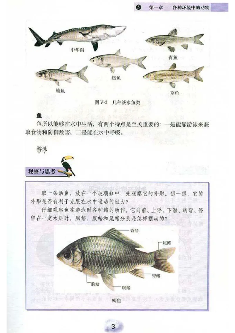 初中_生物_8_1(1)_教资初高中_教资面试2025教资面试备考资料合集_教资面试资料合集_2025教资面试资料_25上教资面试-小学资料包_20教材：全册_初中_初中生物