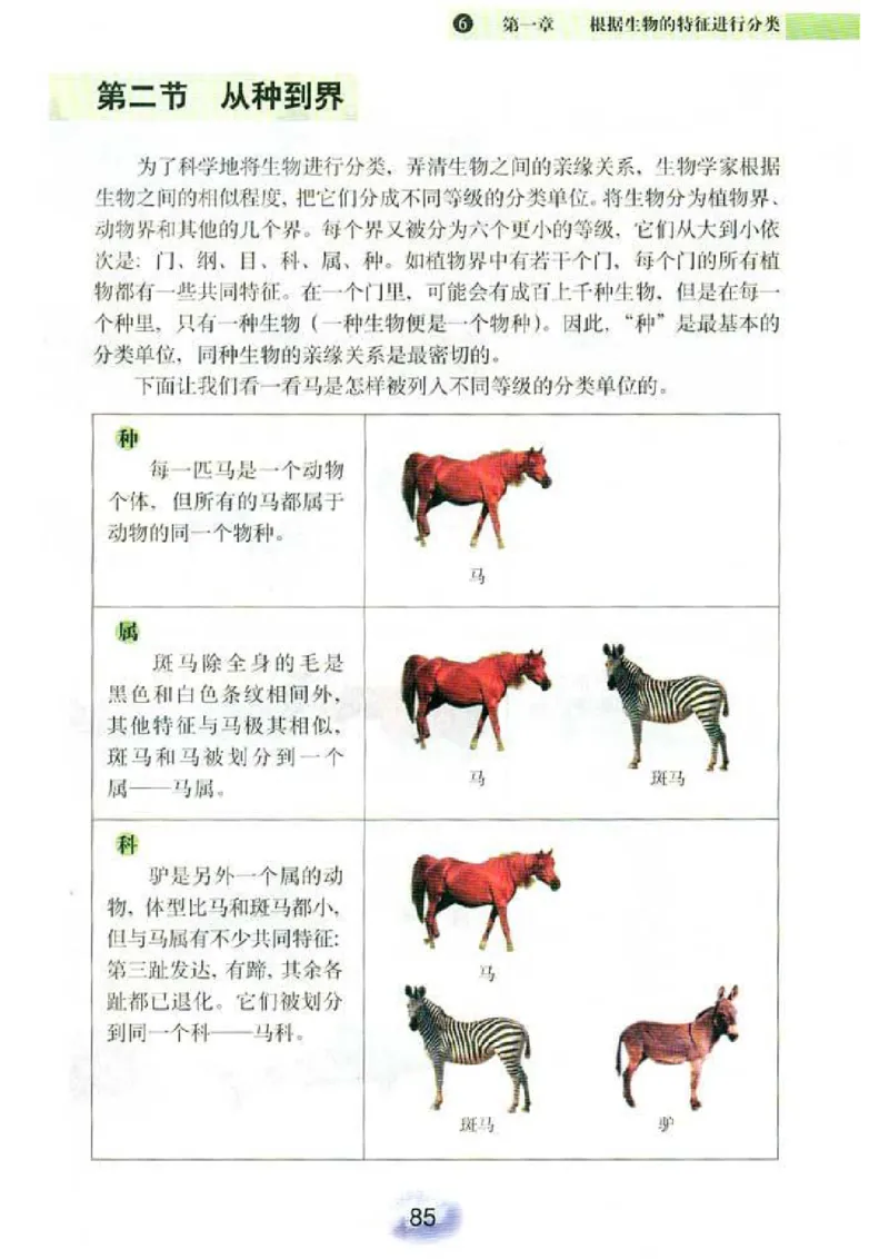 初中_生物_8_1(1)_教资初高中_教资面试2025教资面试备考资料合集_教资面试资料合集_2025教资面试资料_25上教资面试-小学资料包_20教材：全册_初中_初中生物