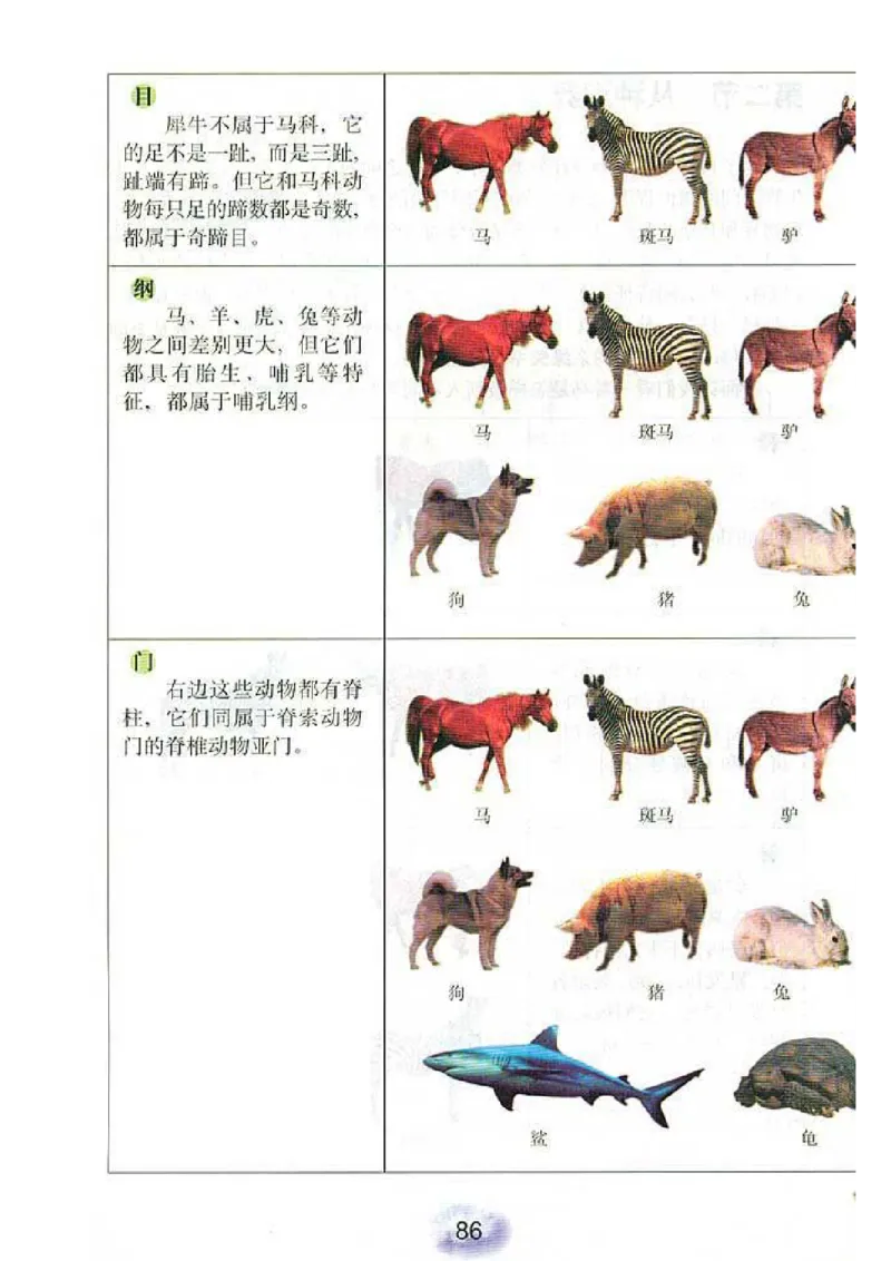 初中_生物_8_1(1)_教资初高中_教资面试2025教资面试备考资料合集_教资面试资料合集_2025教资面试资料_25上教资面试-小学资料包_20教材：全册_初中_初中生物