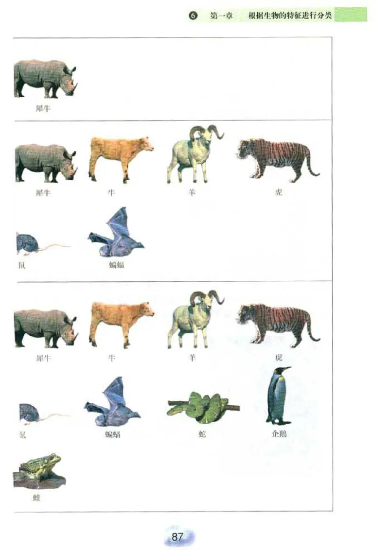 初中_生物_8_1(1)_教资初高中_教资面试2025教资面试备考资料合集_教资面试资料合集_2025教资面试资料_25上教资面试-小学资料包_20教材：全册_初中_初中生物