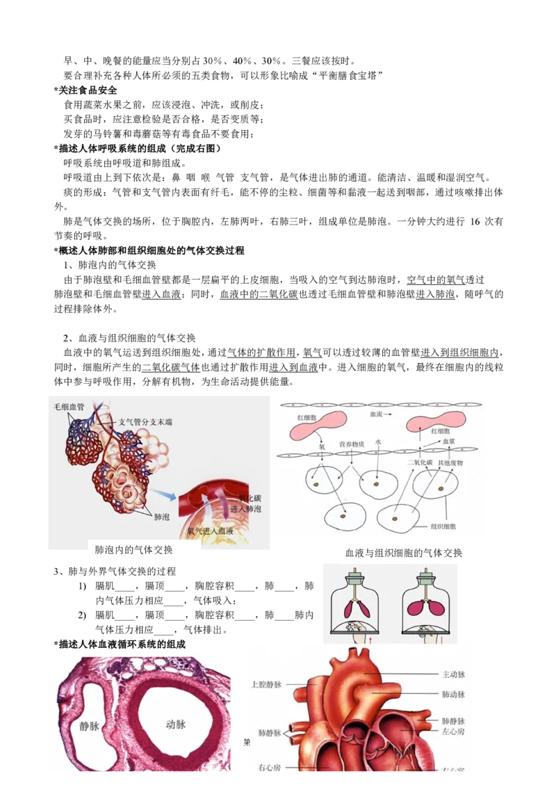 初中生物知识点归纳(1)_教资初高中_教资面试2025教资面试备考资料合集_教资面试资料合集_2025教资面试资料_25上教资面试-小学资料包_20教材：全册_初中_初中生物