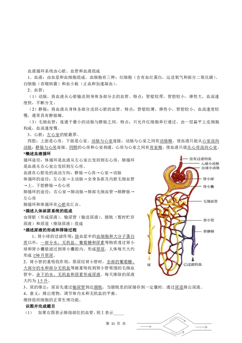 初中生物知识点归纳(1)_教资初高中_教资面试2025教资面试备考资料合集_教资面试资料合集_2025教资面试资料_25上教资面试-小学资料包_20教材：全册_初中_初中生物