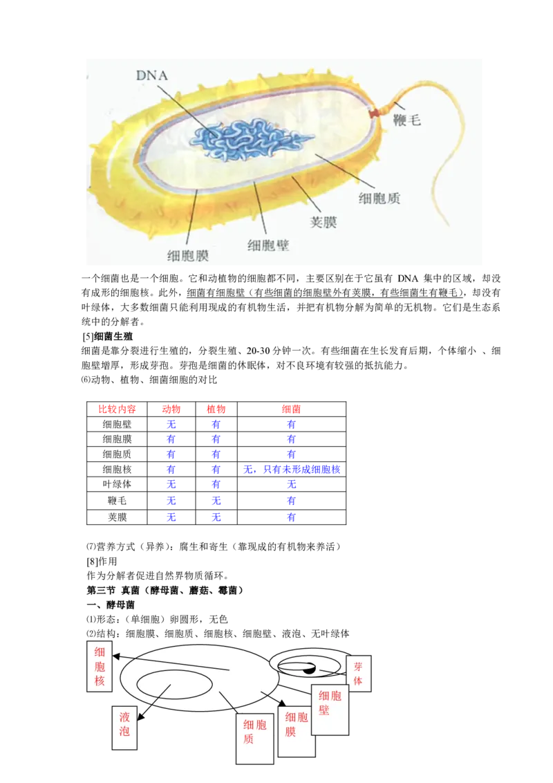 初中生物知识点归纳(1)_教资初高中_教资面试2025教资面试备考资料合集_教资面试资料合集_2025教资面试资料_25上教资面试-小学资料包_20教材：全册_初中_初中生物