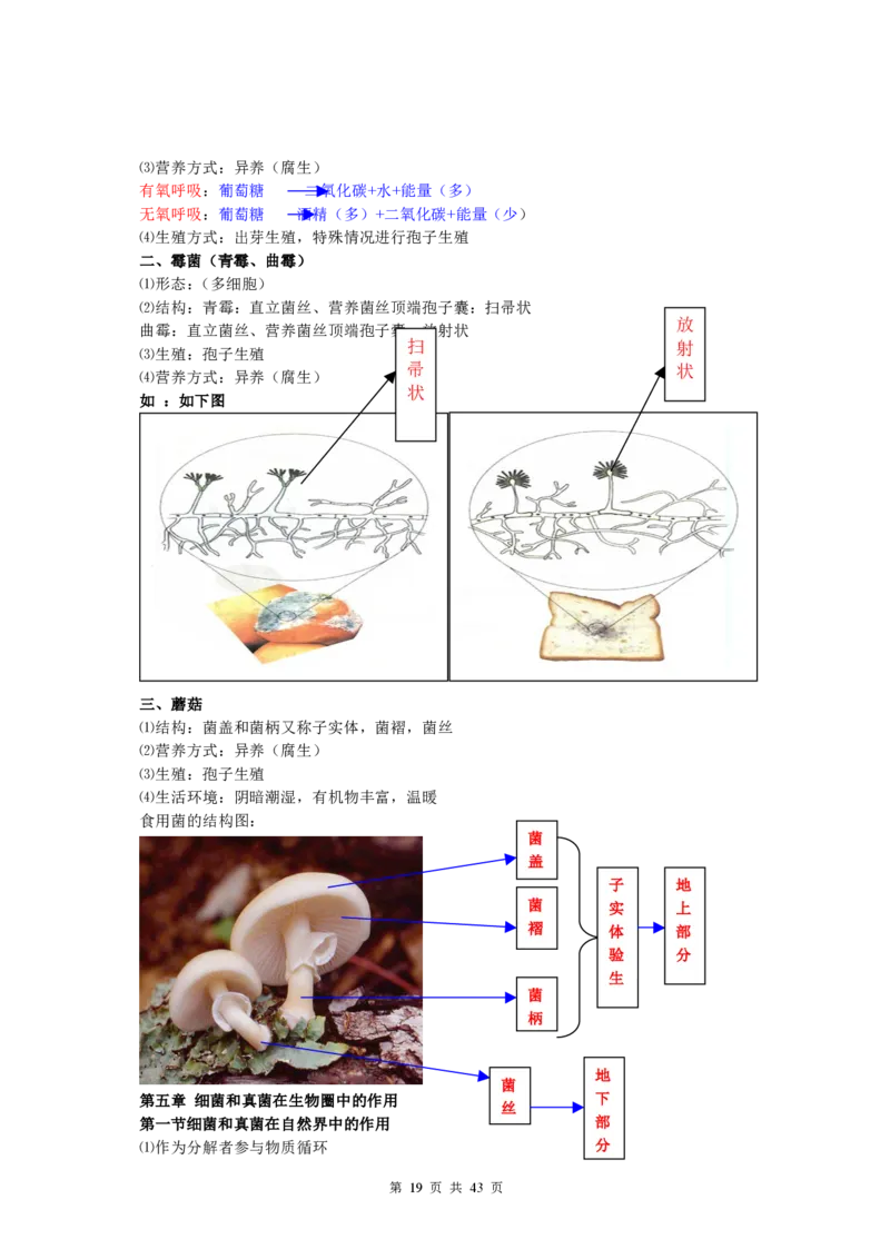 初中生物知识点归纳(1)_教资初高中_教资面试2025教资面试备考资料合集_教资面试资料合集_2025教资面试资料_25上教资面试-小学资料包_20教材：全册_初中_初中生物