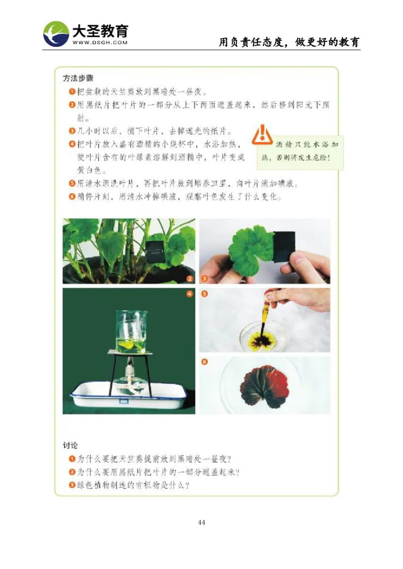 初中生物面试真题+模板_教资初高中_教资面试2025教资面试备考资料合集_教资面试资料合集_3、教资面试资料包大全_45大圣中小幼面试资料包_初中_生物