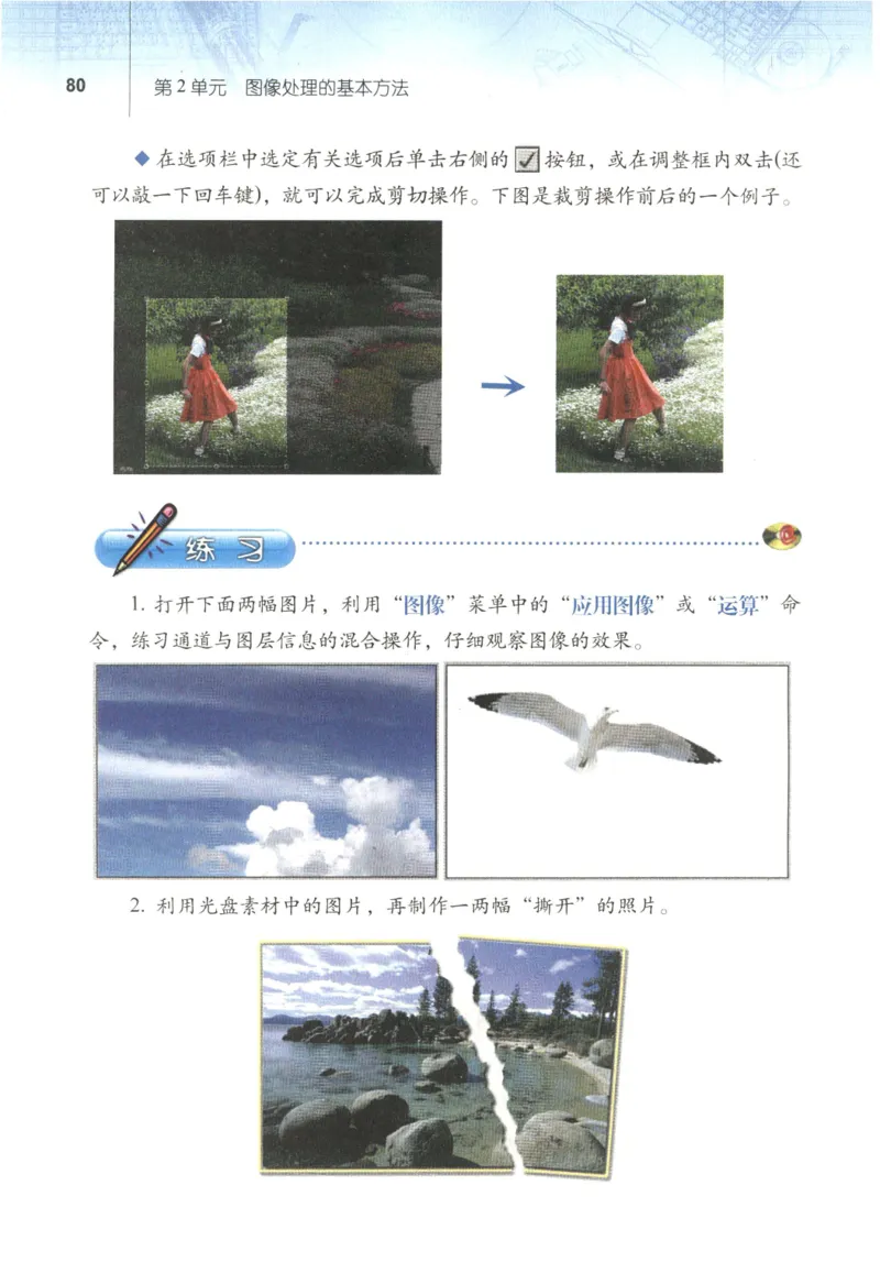 信息技术七年级下册（RJ版）_教资初高中_教资面试2025教资面试备考资料合集_教资面试资料合集_2025教资面试资料_25上教资面试中学合集_教资面试逐字稿_初中信息技术面试知识点_RJ版