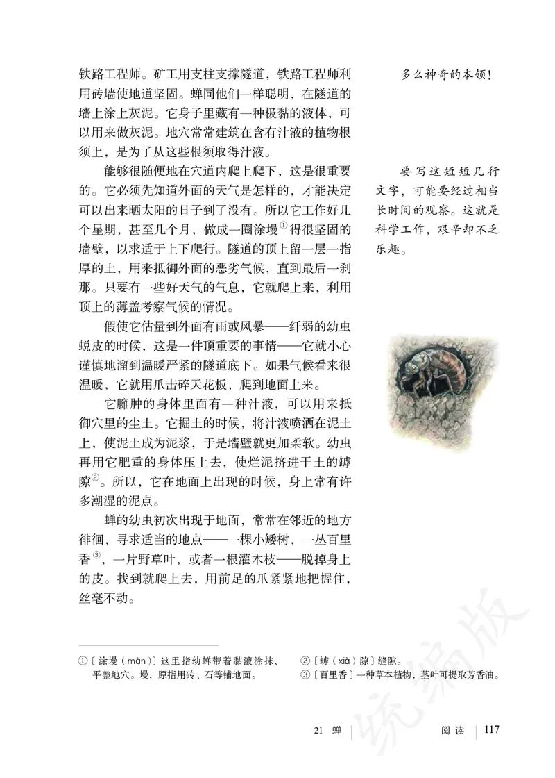 初中八年级上册语文_教资初高中_教资面试2025教资面试备考资料合集_教资面试资料合集_3、教资面试资料包大全_45大圣中小幼面试资料包_初中_语文_初中语文电子课本