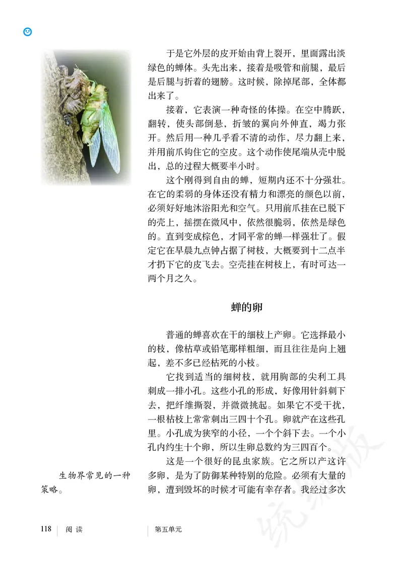 初中八年级上册语文_教资初高中_教资面试2025教资面试备考资料合集_教资面试资料合集_3、教资面试资料包大全_45大圣中小幼面试资料包_初中_语文_初中语文电子课本