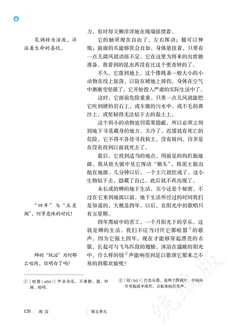 初中八年级上册语文_教资初高中_教资面试2025教资面试备考资料合集_教资面试资料合集_3、教资面试资料包大全_45大圣中小幼面试资料包_初中_语文_初中语文电子课本