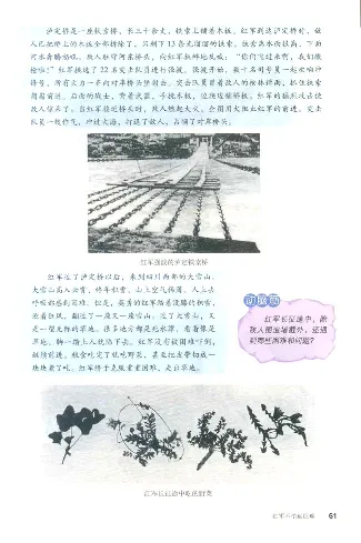 人教历史八上(1)_教资初高中_教资面试2025教资面试备考资料合集_教资面试资料合集_2025教资面试资料_25上教资面试-小学资料包_20教材：全册_初中_初中历史