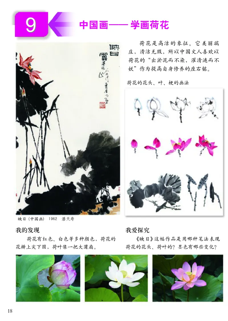 《小学四年级上册美术》（人美版-杨力）_教资初高中_教资面试2025教资面试备考资料合集_教资面试资料合集_3、教资面试资料包大全_45大圣中小幼面试资料包_小学_美术_电子课本