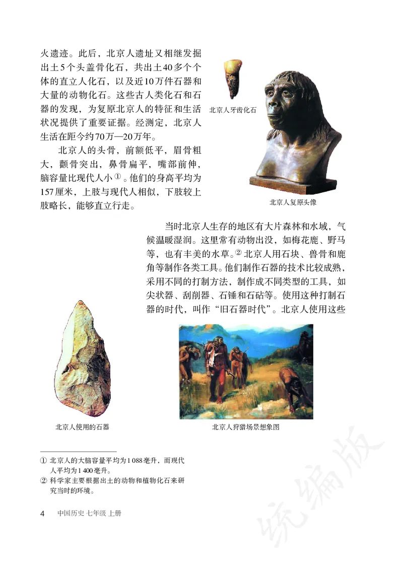 初中一年级上册历史_教资初高中_教资面试2025教资面试备考资料合集_教资面试资料合集_3、教资面试资料包大全_45大圣中小幼面试资料包_初中_历史_初中历史电子课本