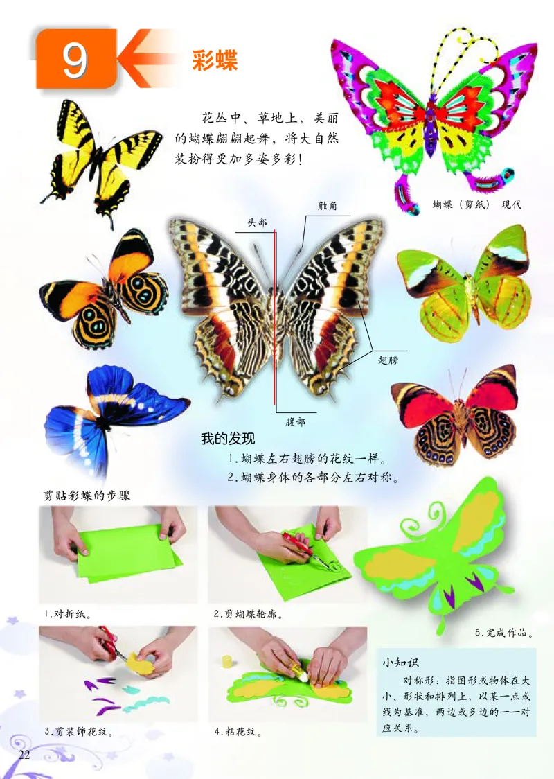 《小学二年级上册美术》（人美版-杨力）_教资初高中_教资面试2025教资面试备考资料合集_教资面试资料合集_3、教资面试资料包大全_45大圣中小幼面试资料包_小学_美术_电子课本