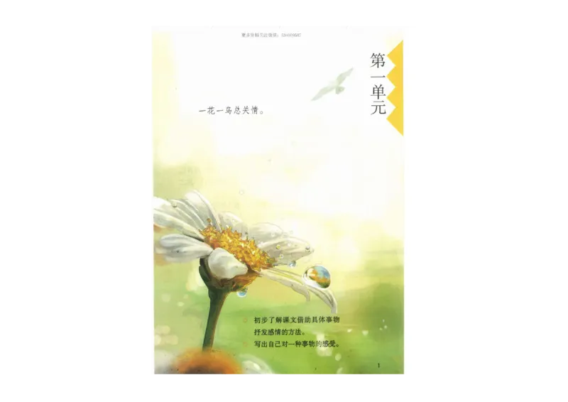 部编版语文5年级上册电子课本(1)_教资初高中_教资面试2025教资面试备考资料合集_教资面试资料合集_2025教资面试资料_25上教资面试-小学资料包_20教材：全册_小学_小学语文