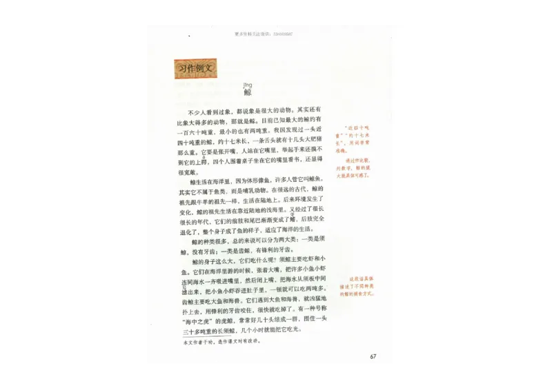 部编版语文5年级上册电子课本(1)_教资初高中_教资面试2025教资面试备考资料合集_教资面试资料合集_2025教资面试资料_25上教资面试-小学资料包_20教材：全册_小学_小学语文