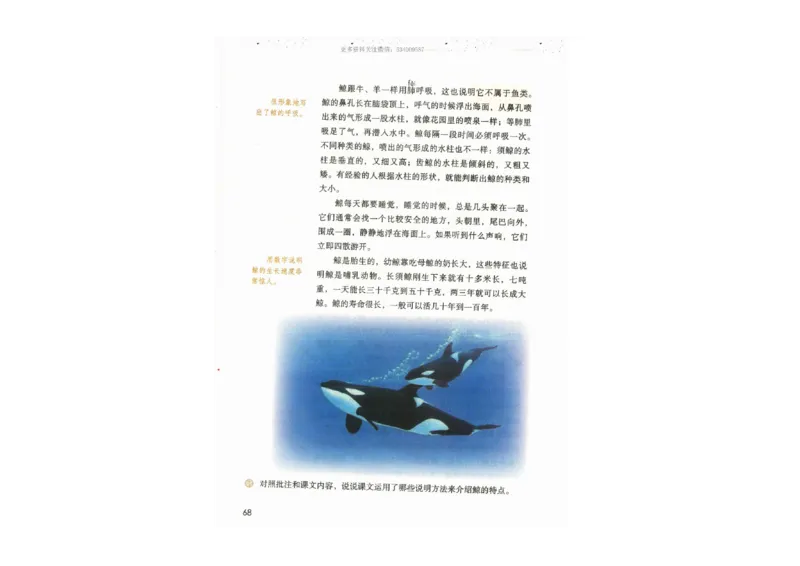 部编版语文5年级上册电子课本(1)_教资初高中_教资面试2025教资面试备考资料合集_教资面试资料合集_2025教资面试资料_25上教资面试-小学资料包_20教材：全册_小学_小学语文