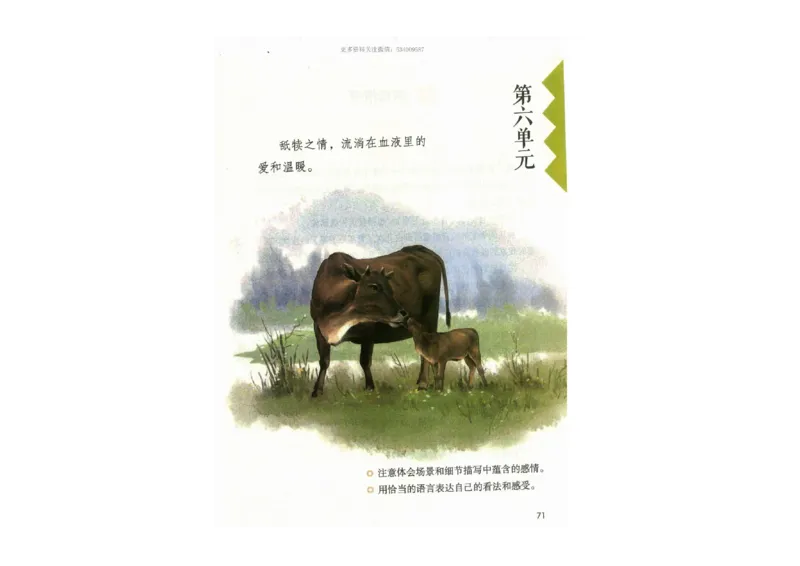 部编版语文5年级上册电子课本(1)_教资初高中_教资面试2025教资面试备考资料合集_教资面试资料合集_2025教资面试资料_25上教资面试-小学资料包_20教材：全册_小学_小学语文