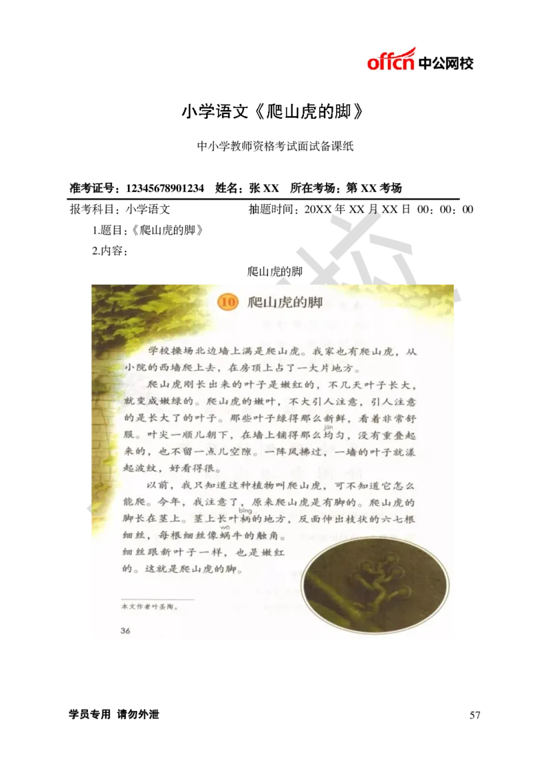 题本梳理-小学语文_教资初高中_教资面试2025教资面试备考资料合集_教资面试资料合集_3、教资面试资料包大全_36教资面试题本梳理_小学