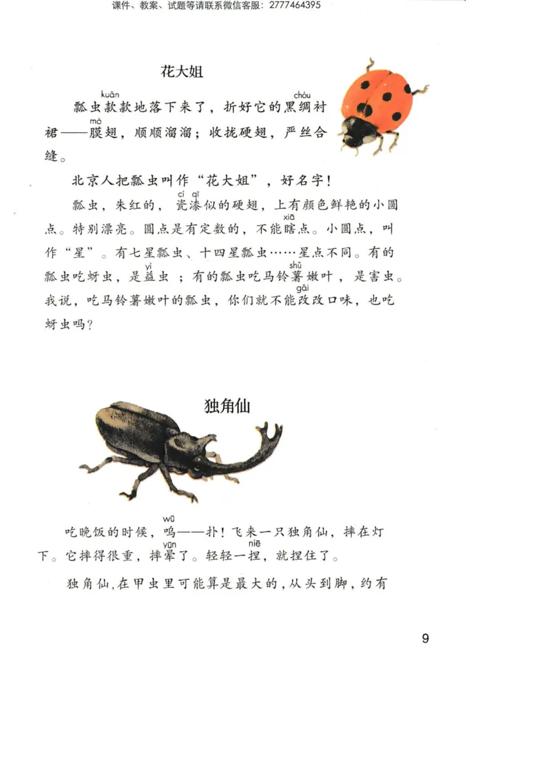 部编版语文3年级下册电子课本(1)_教资初高中_教资面试2025教资面试备考资料合集_教资面试资料合集_2025教资面试资料_25上教资面试-小学资料包_20教材：全册_小学_小学语文