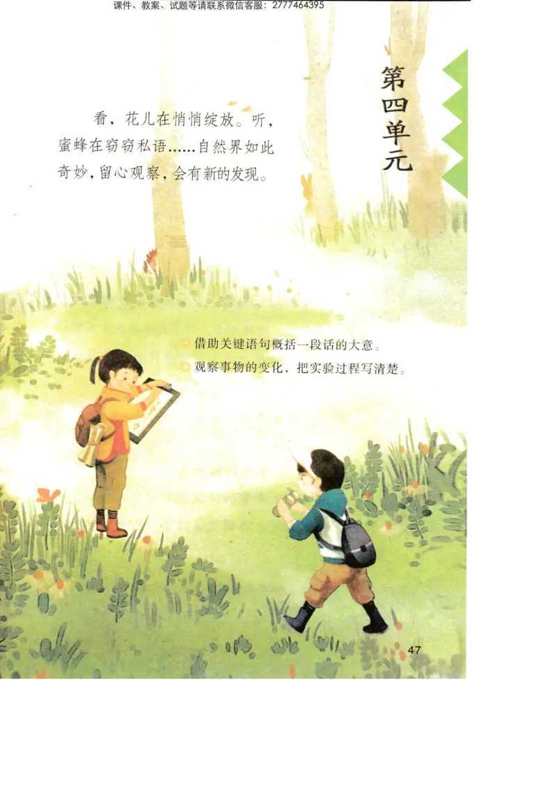 部编版语文3年级下册电子课本(1)_教资初高中_教资面试2025教资面试备考资料合集_教资面试资料合集_2025教资面试资料_25上教资面试-小学资料包_20教材：全册_小学_小学语文