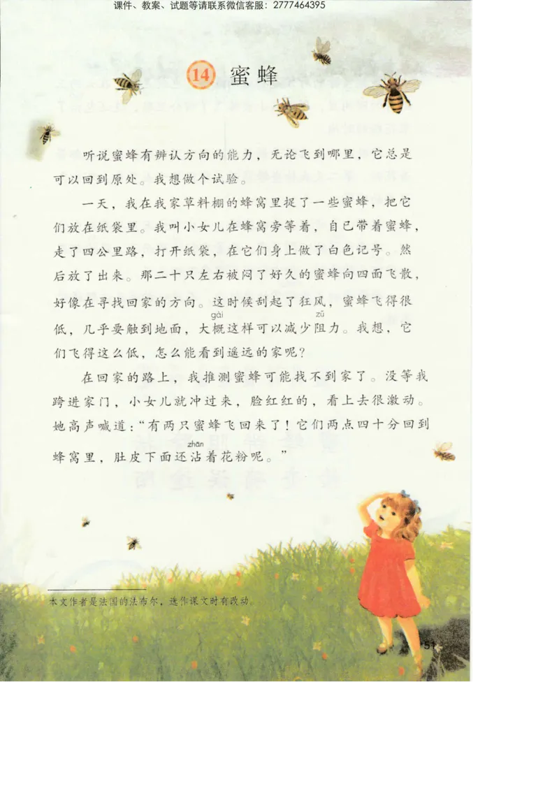 部编版语文3年级下册电子课本(1)_教资初高中_教资面试2025教资面试备考资料合集_教资面试资料合集_2025教资面试资料_25上教资面试-小学资料包_20教材：全册_小学_小学语文